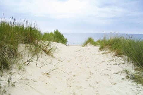 Apartment | Beach | On the beach