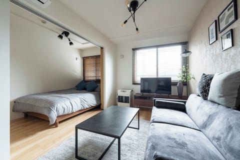 Flat-screen TV
