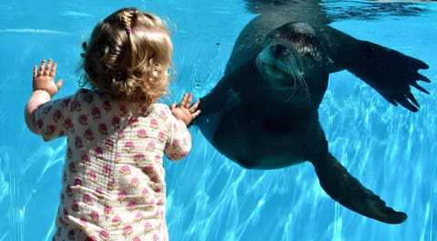 House | View from property