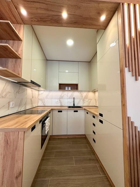 Deluxe Apartment | Private kitchen | Full-size fridge, microwave, oven, stovetop