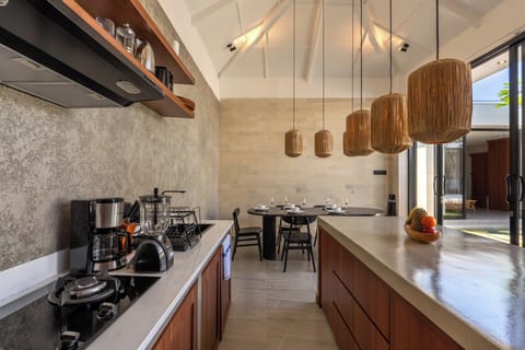 Villa, 3 Bedrooms | Private kitchen | Fridge, toaster, blender, freezer