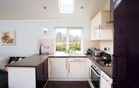 Cabin | Private kitchen | Fridge, microwave, oven, stovetop