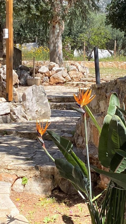 Apartment, Smoking | 1 bedroom