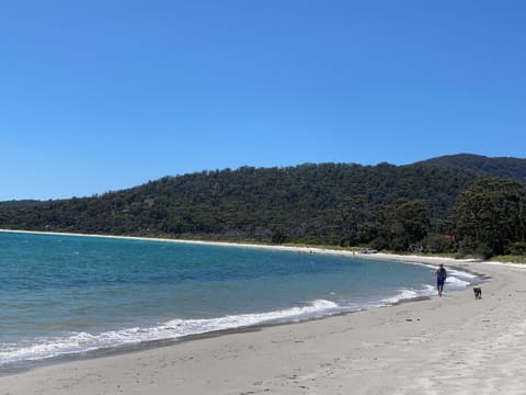Beach nearby, white sand