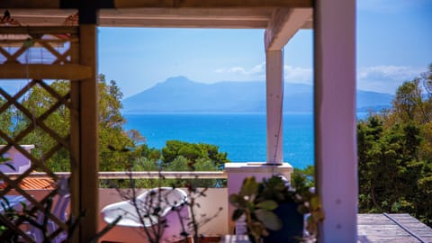 Basic Apartment, Sea View | Terrace/patio