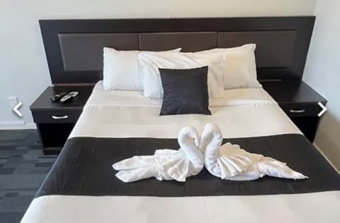 Comfort Studio | Iron/ironing board, free WiFi