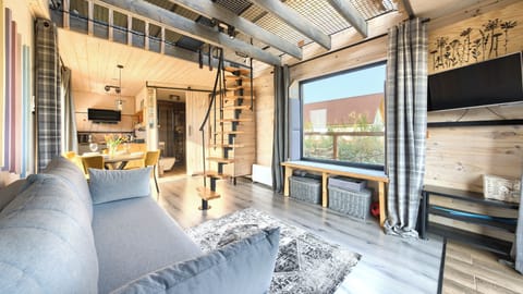 Domek (690) | Living area | Flat-screen TV