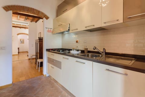 Deluxe Apartment, Balcony | Private kitchen | Fridge, stovetop
