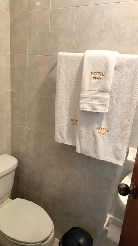 Shower, towels, soap, shampoo