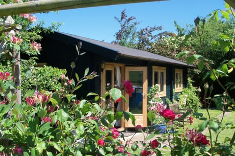 Cabin | Exterior detail