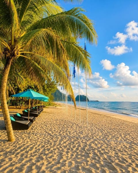 Private beach, sun loungers