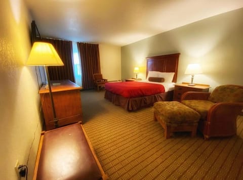 Standard Single Room, 1 Queen Bed, Courtyard View | Desk, laptop workspace, soundproofing, free WiFi