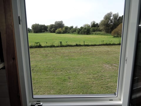 House | View from property