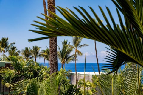Condo, 1 King Bed with Sofa bed (Alii Villas#304 Top Floor Condo with ) | Property grounds