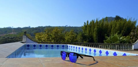 Seasonal outdoor pool, pool umbrellas, sun loungers
