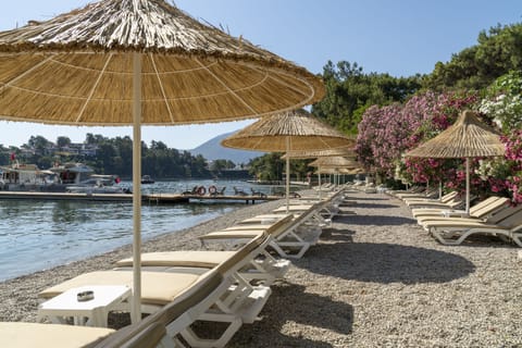 Private beach nearby, black sand, free beach shuttle, sun loungers