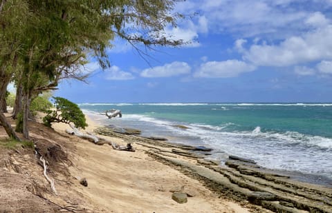 Condo, 1 Bedroom | Beach