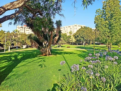 Apartment, 2 Bedrooms, Balcony, City View | Property grounds