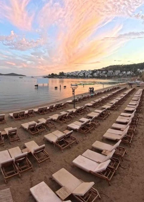 Private beach, beach bar