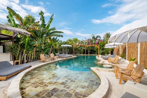 Outdoor pool, sun loungers