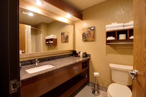 Standard Room, 1 King Bed, Non Smoking | Bathroom | Shower, free toiletries, hair dryer, towels