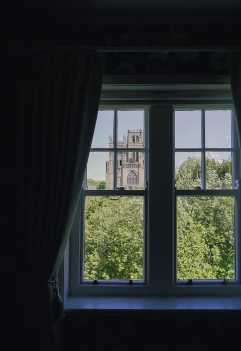 Botanist Suite | Iron/ironing board, free WiFi, bed sheets