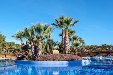 Tent | Pool | Outdoor pool
