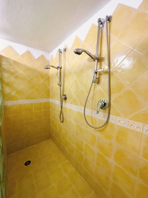 Deluxe Apartment | Bathroom | Shower, hair dryer, towels, soap