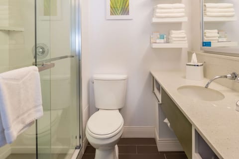 Combined shower/tub, eco-friendly toiletries, hair dryer, towels