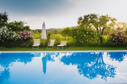 Outdoor pool, open 10:00 AM to 7:30 PM, pool umbrellas, sun loungers