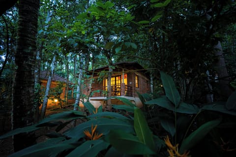 Premium Plantation Cottage With Balcony | In-room safe, individually decorated, individually furnished, desk
