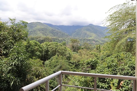 Balcony view