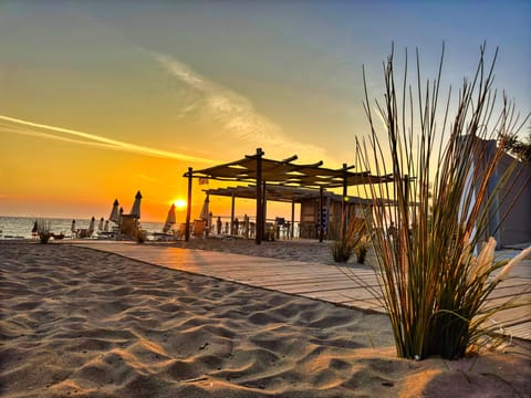 Private beach, sun loungers, beach umbrellas, beach bar