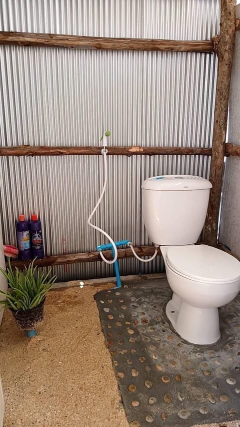 Shower, towels, toilet paper