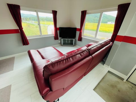 Flat-screen TV