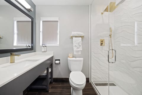 Shower, free toiletries, hair dryer, towels