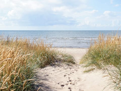 House | Beach