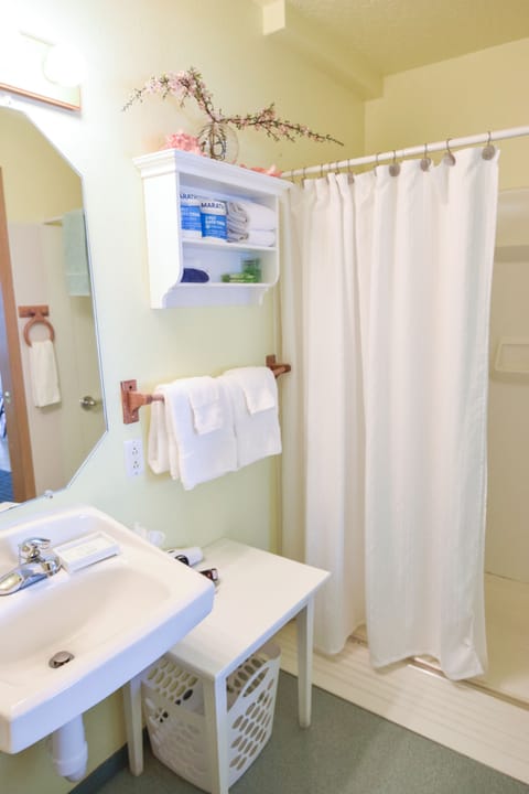 Standard Room, 2 Double Beds | Bathroom shower