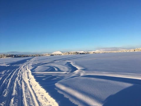 Snow and ski sports