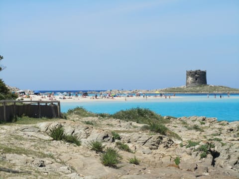 Beach nearby, free beach shuttle