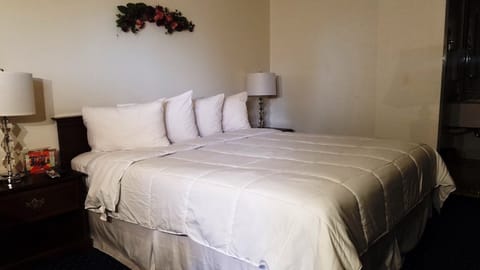 Room, 1 King Bed | Desk, soundproofing, iron/ironing board, free WiFi