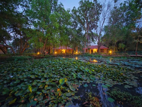 Lake view