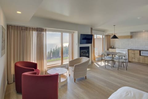 Studio, 1 Queen Bed, Balcony, River View | Living area | TV, printers