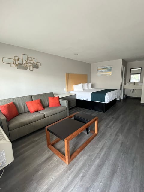 Luxury Single Room | Laptop workspace, blackout drapes, iron/ironing board, free WiFi