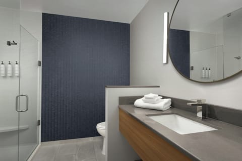 Hair dryer, towels, soap, shampoo