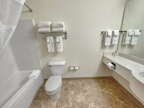 Deluxe Suite | Bathroom | Combined shower/tub, designer toiletries, hair dryer, towels