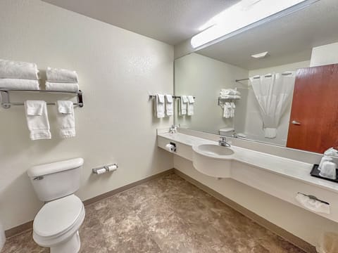 Deluxe Suite | Bathroom | Combined shower/tub, designer toiletries, hair dryer, towels