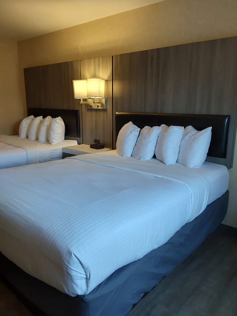 Standard Room, 2 Queen Beds, Non Smoking | Desk, iron/ironing board, free WiFi, bed sheets