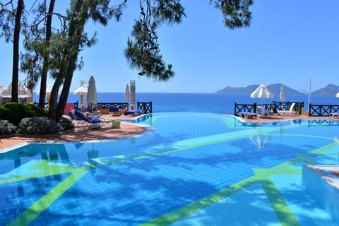Seasonal outdoor pool, open 9:00 AM to 6:00 PM, free cabanas