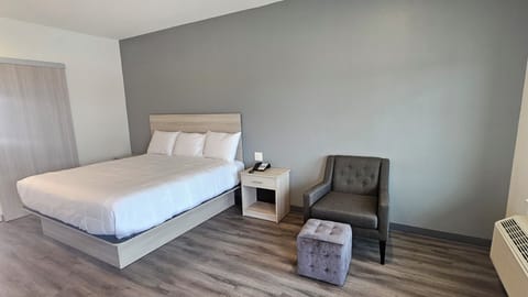 Single Room, 1 King Bed, Non Smoking | Free WiFi